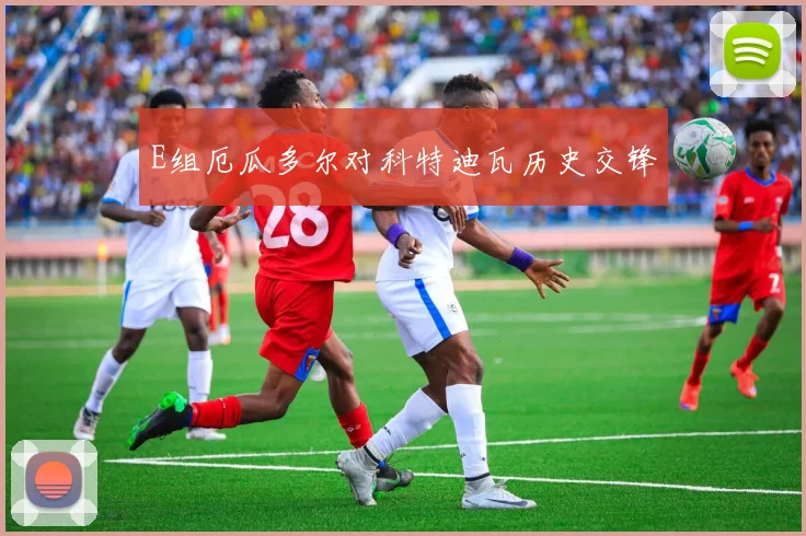 E组厄瓜多尔对科特迪瓦历史交锋
