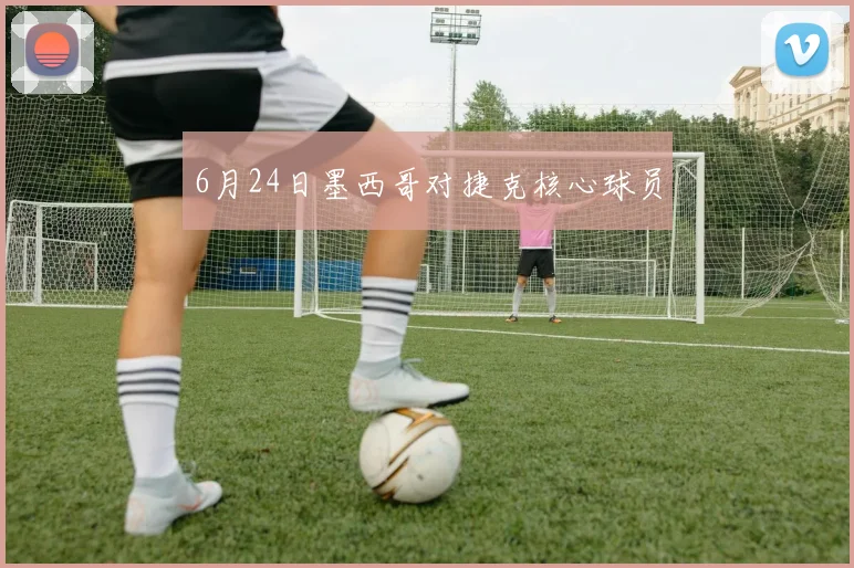 6月24日墨西哥对捷克核心球员
