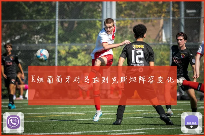 K组葡萄牙对乌兹别克斯坦阵容变化