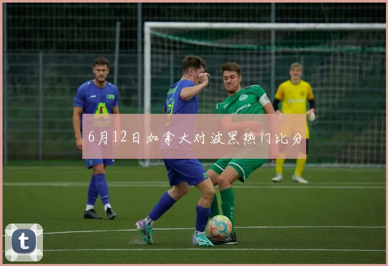 6月12日加拿大对波黑热门比分