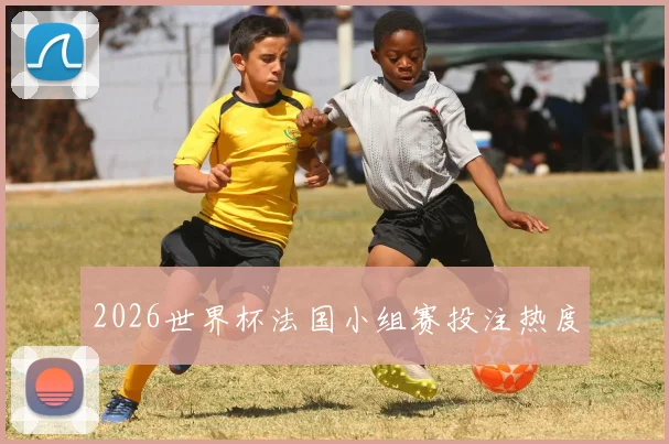 2026世界杯法国小组赛投注热度