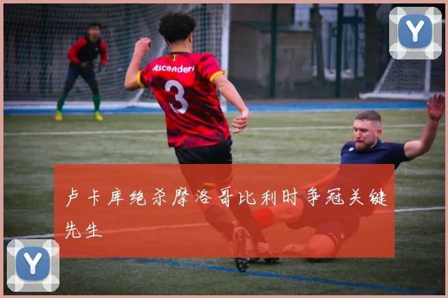 卢卡库绝杀摩洛哥比利时争冠关键先生